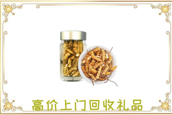 阿克苏周边回收虫草